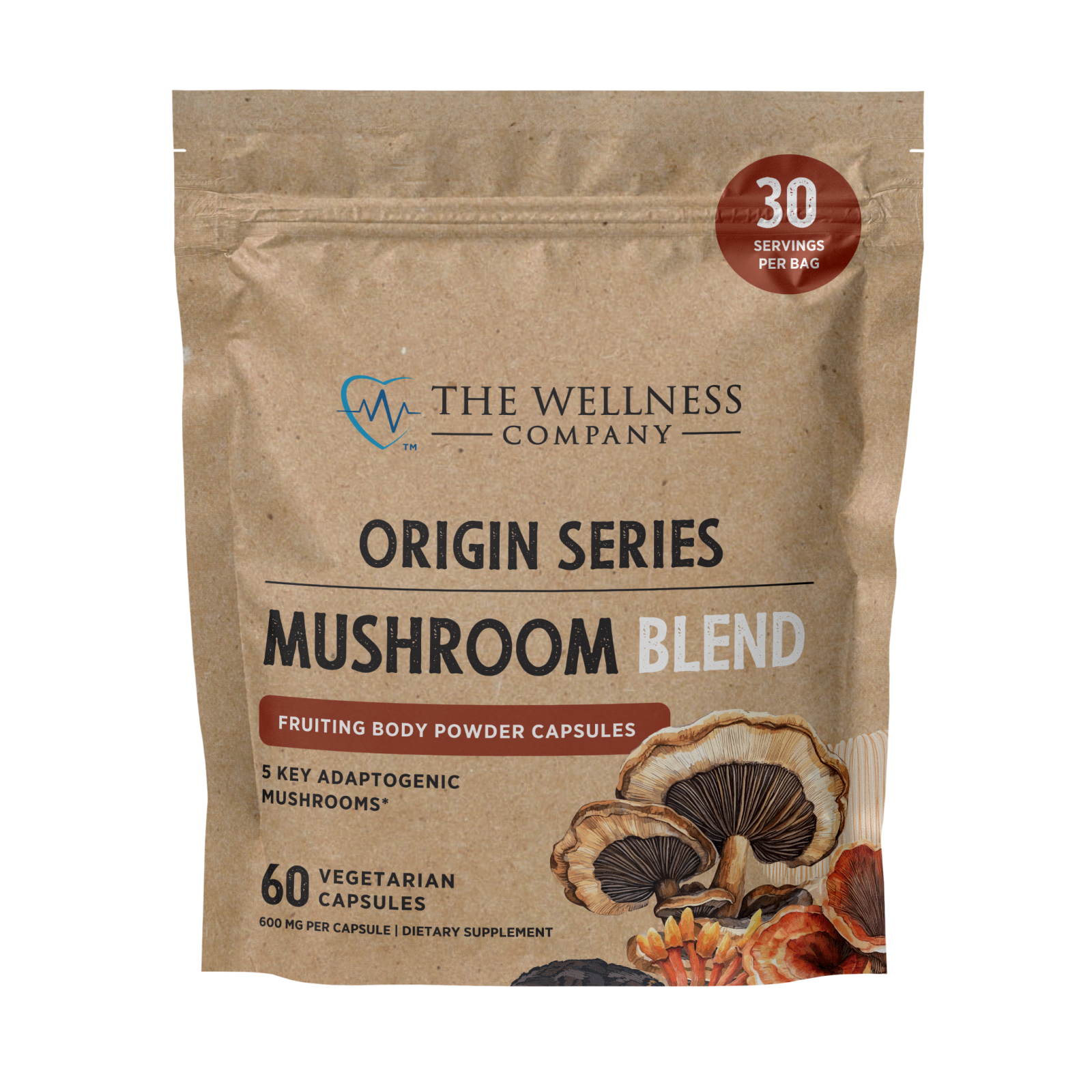 Organic Mushroom Blend Supplement for Focus & Immunity – Reishi, Lion's Mane, Turkey Tail, Cordyceps, Chaga